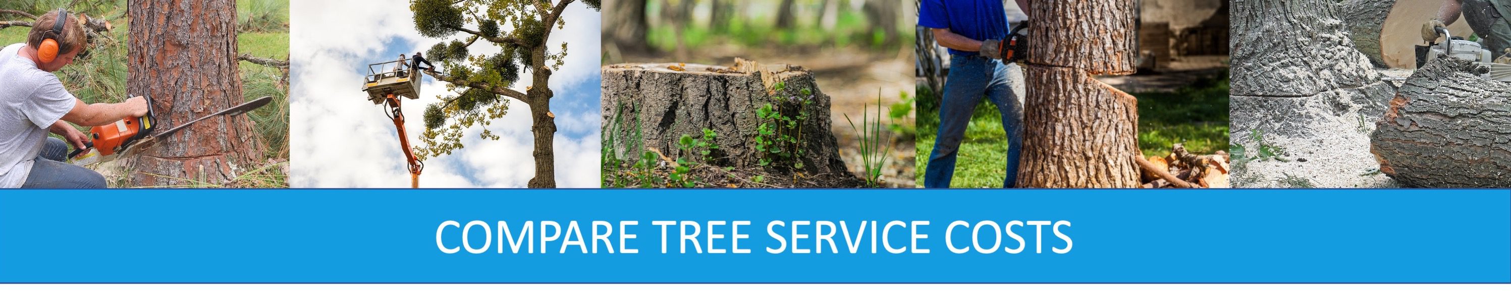 COMPARE TREE SERVICE COSTS