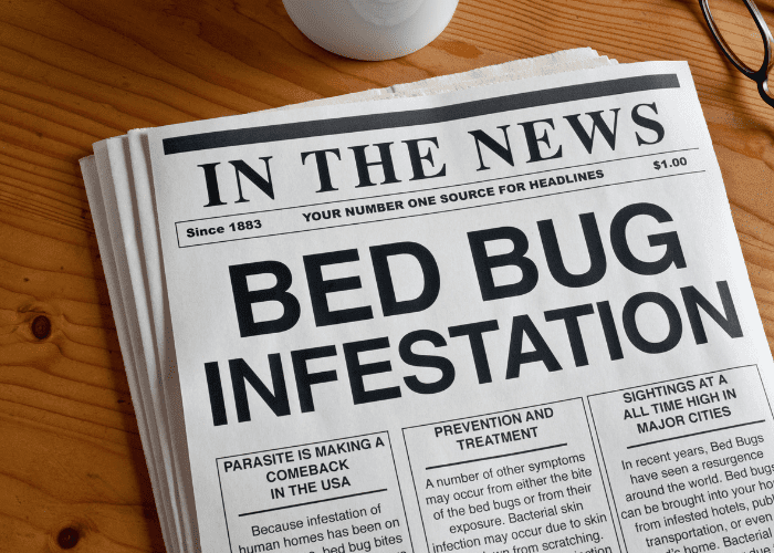 bed bug infestation in the news