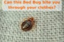 Can Bed Bugs Bite Through Clothes?